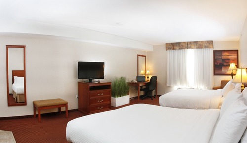 Standard Double Room, Kitchenette