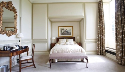 Junior Studio Suite