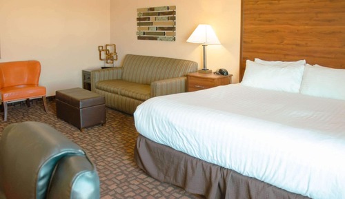 Standard Room, 1 King Bed with Sofa bed, Non Smoking