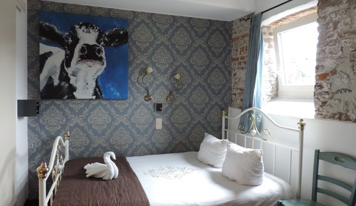 Comfort Suite