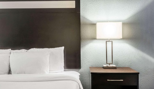 Room, 1 King Bed, Non Smoking