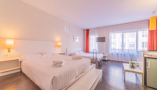 Superior Studio, Multiple Beds