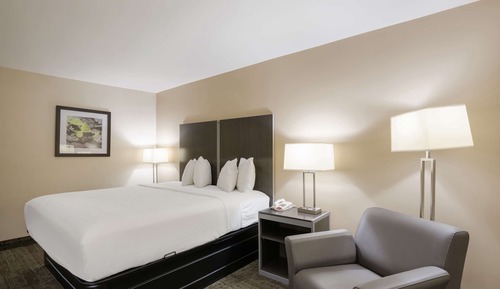 Standard Room, 1 King Bed, Non Smoking, Refrigerator & Microwave