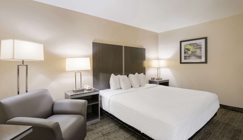 Standard Room, 1 King Bed, Accessible, Non Smoking