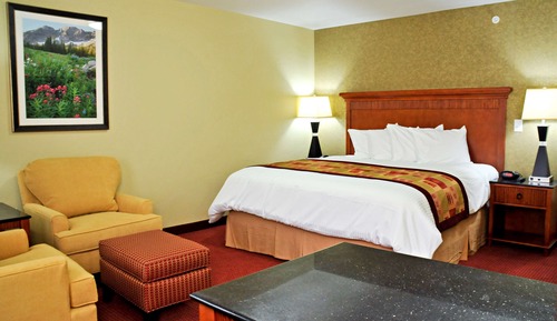 Standard Room, 1 King Bed, Accessible, Bathtub