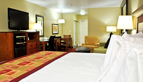 Standard Room, 1 King Bed, Non Smoking, Refrigerator & Microwave (with Sofabed)