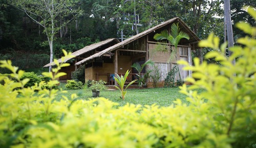 Bamboo Hut