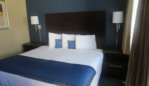 Room, 1 King Bed, Non Smoking (Pet-Friendly)