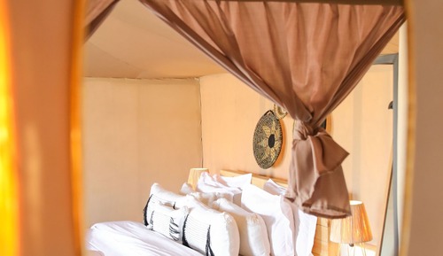 Standard Tent