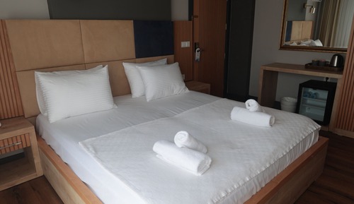 Standard Double or Twin Room