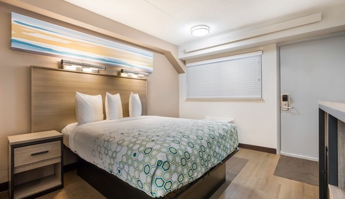 Studio, 1 Queen Bed, Non Smoking
