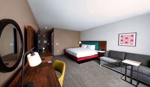 Room, 1 King Bed, Accessible (Roll-In Shower)