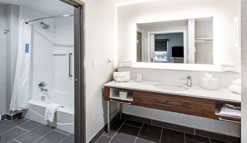Studio, 1 King Bed, Accessible (Roll-In Shower)