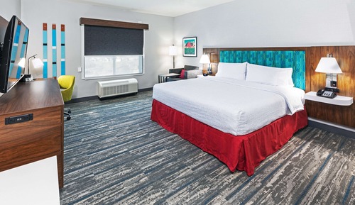 Room, 1 King Bed, Accessible, Bathtub