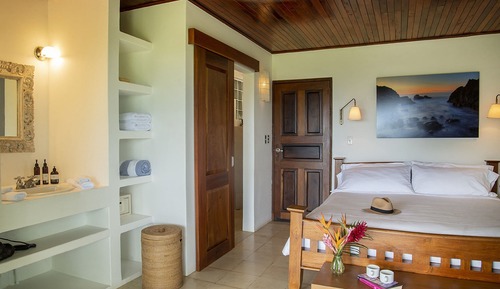 Vista Room with 1 king bed