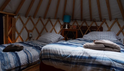 4 Person Yurt, Shared Bathroom, Starfish Studio, Yurt Village Location