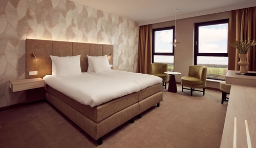 Deluxe Room, 1 King Bed