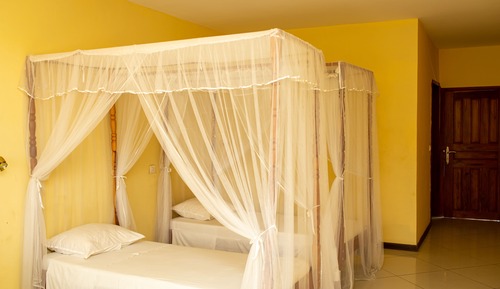 Family Double Room