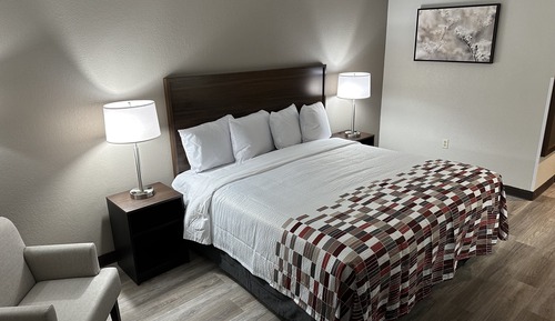 Standard Room, 1 King Bed, Non Smoking