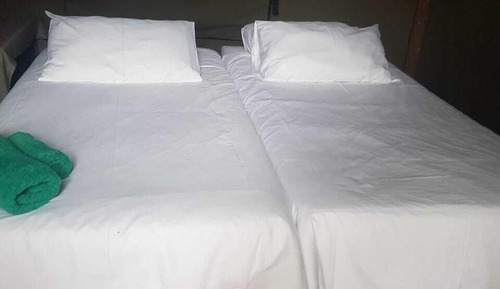Basic Tent
