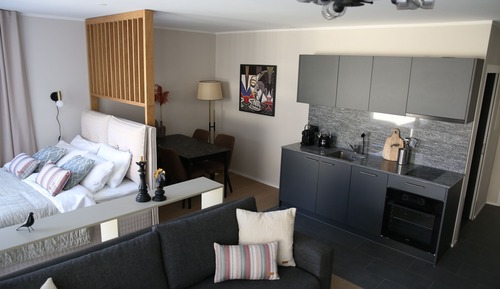 Deluxe Apartment