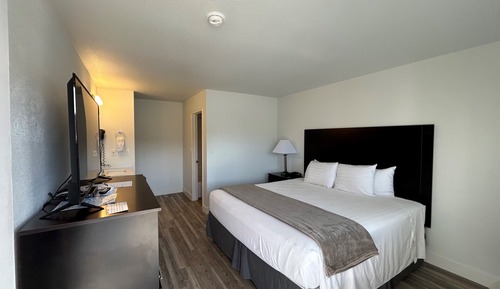 Standard Single Room, 1 King Bed