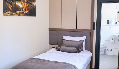 Basic Triple Room