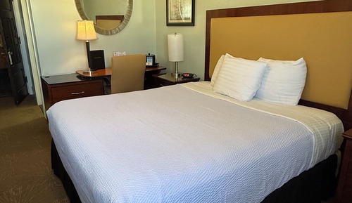 Basic Room