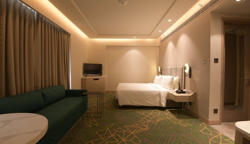 Standard Room, 1 King Bed, Mountain View