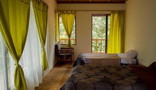 Family Double Room, Multiple Beds, Non Smoking