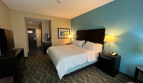 Standard Room, 1 King Bed, Accessible (Mobility, Roll-In Shower)