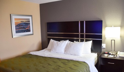 Standard Room, 1 Queen Bed, Non Smoking, River View