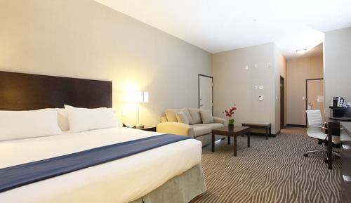Suite, 1 King Bed with Sofa bed