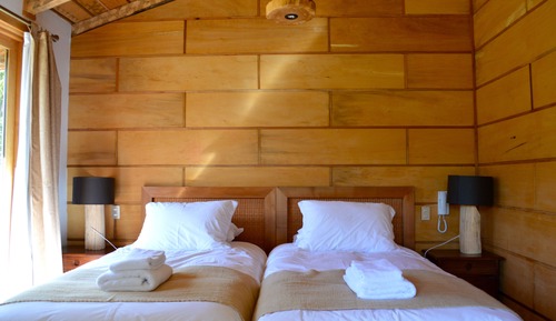 Standard Room, 2 Twin Beds