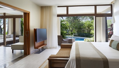 Preferred Club Master Suite Swim Out