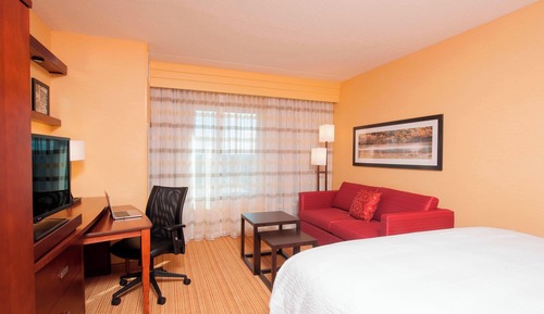 Room, 1 King Bed, Non Smoking