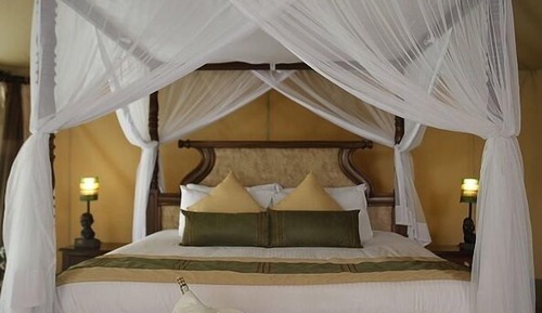 Luxury Tent