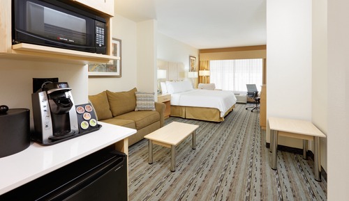 Suite, 1 King Bed with Sofa bed