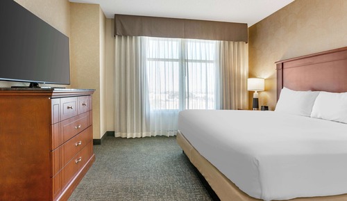 Suite, 1 King Bed with Sofa bed
