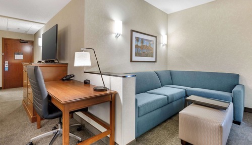 Deluxe Room, 1 King Bed, Refrigerator & Microwave (Oversized)