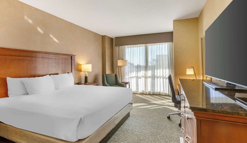 Deluxe Room, 1 King Bed, Accessible, Refrigerator & Microwave (Roll in Shower)