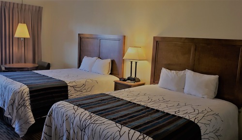 1 Bedroom Kitchenette