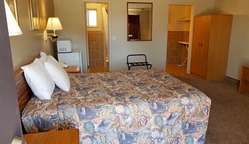 Single Room, 1 Queen Bed Pet-friendly