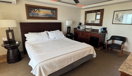 Panoramic Room, 1 King Bed, Ocean View, Oceanfront
