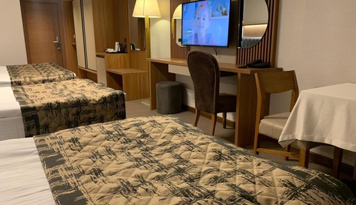 Deluxe Double or Twin Room
