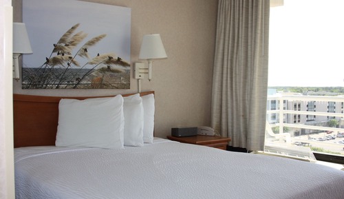 Suite, 1 Queen Bed with Sofa bed