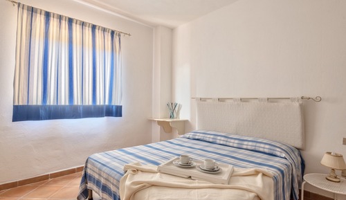 Basic Apartment