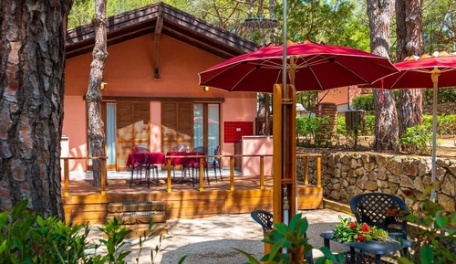 Premium Bungalow
