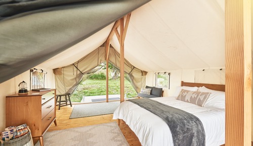 Premium Tent