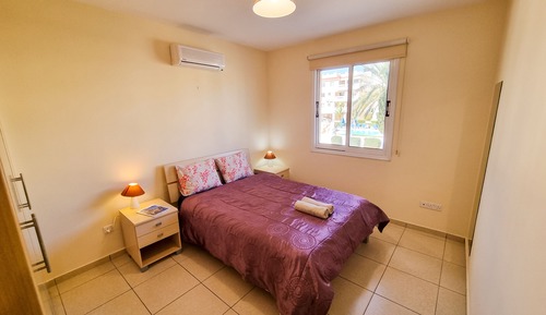 Basic Apartment
